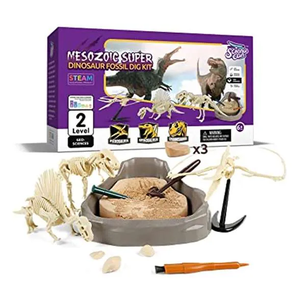 Kit de excavación de fósiles de dinosaurios mesozoicos