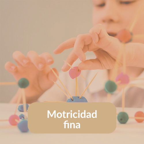 Motricidad fina