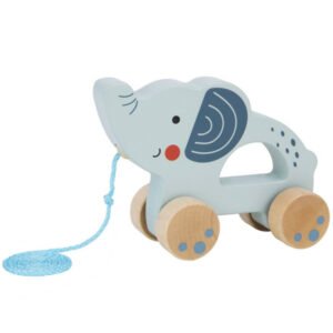 Elefante empuja y sigue