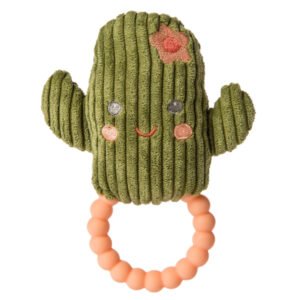 Sonajero de cactus feliz