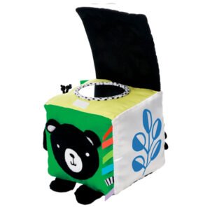 Cubo de Descubrimiento